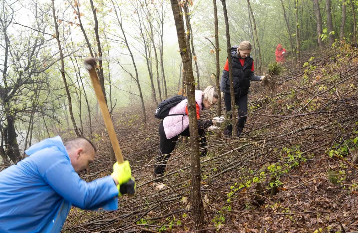 FIS proveo akciju pošumljavanja „Zeleno srce Ambyente“